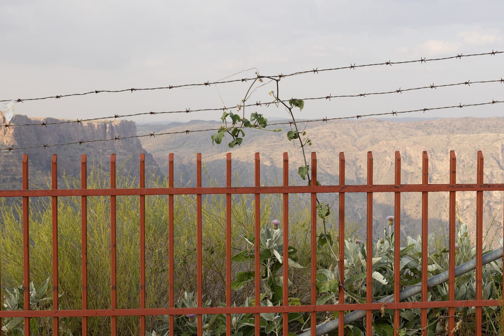 هذه الصور توثق العلاقة العميقة بين الإنسان وأرضه في عسير