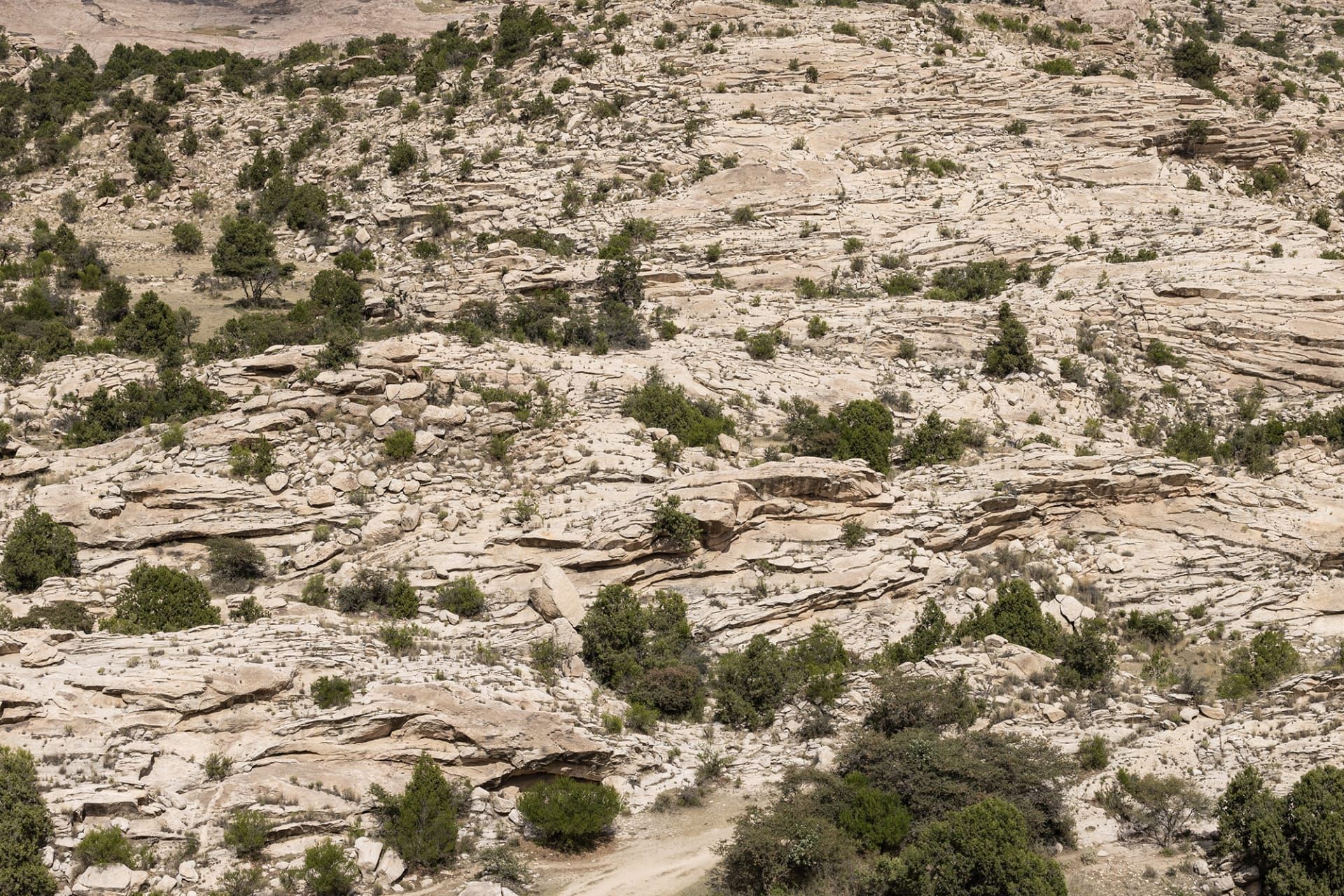 هذه الصور توثق العلاقة العميقة بين الإنسان وأرضه في عسير