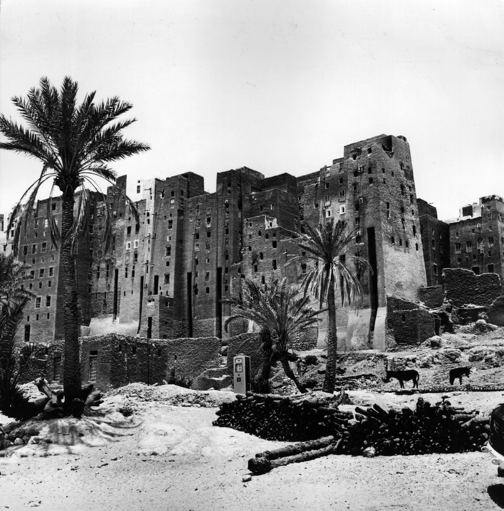 ناطحات سحاب الصحراء - مباني شبام الطينية في وادي حضرموت، اليمن، حوالي ١٩٥٠م.