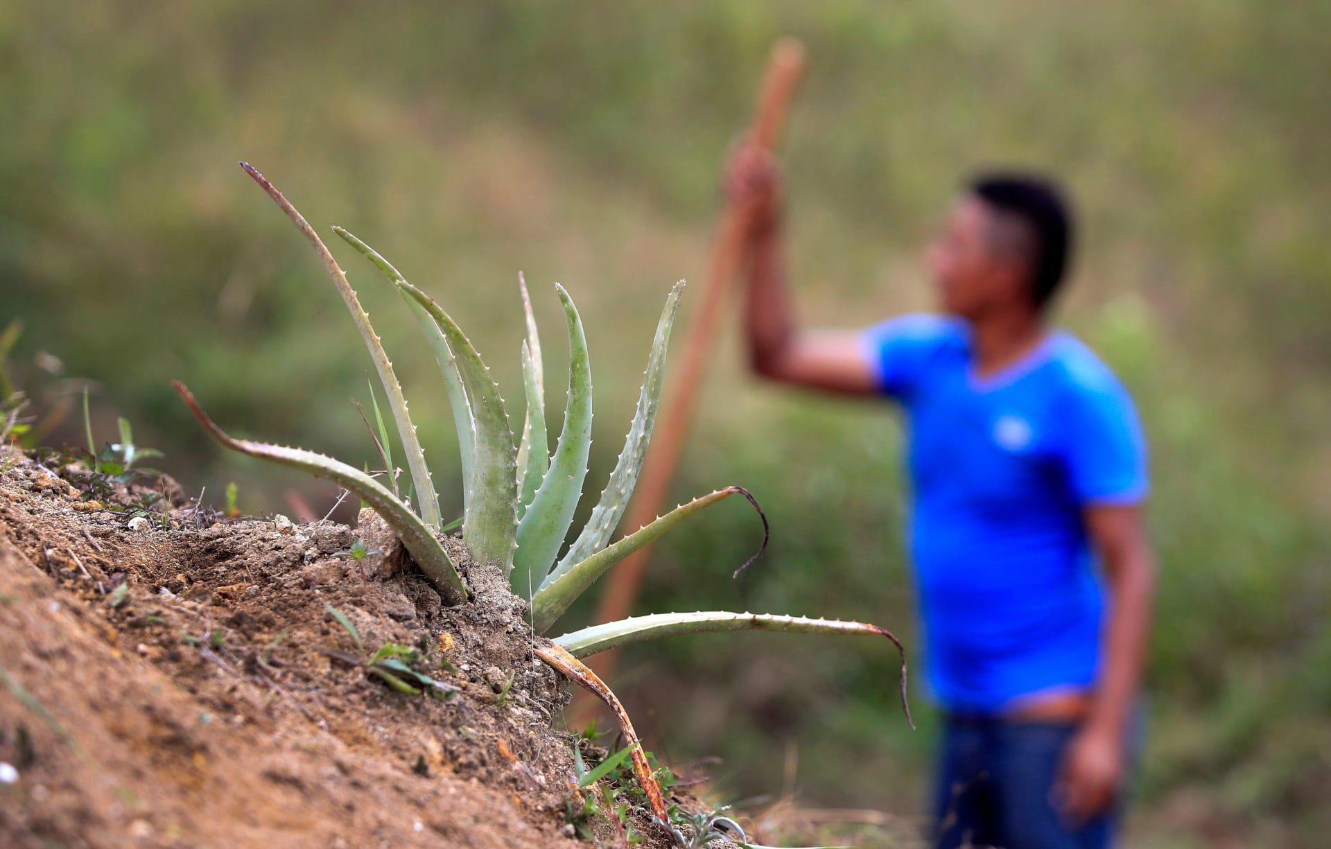 غالبًا ما تكون النتيجة هي بشرة ناعمة ومرنة ومشرقة، مع توهج صحي يدوم لفترة طويلة من دون ترك أثر دهني.