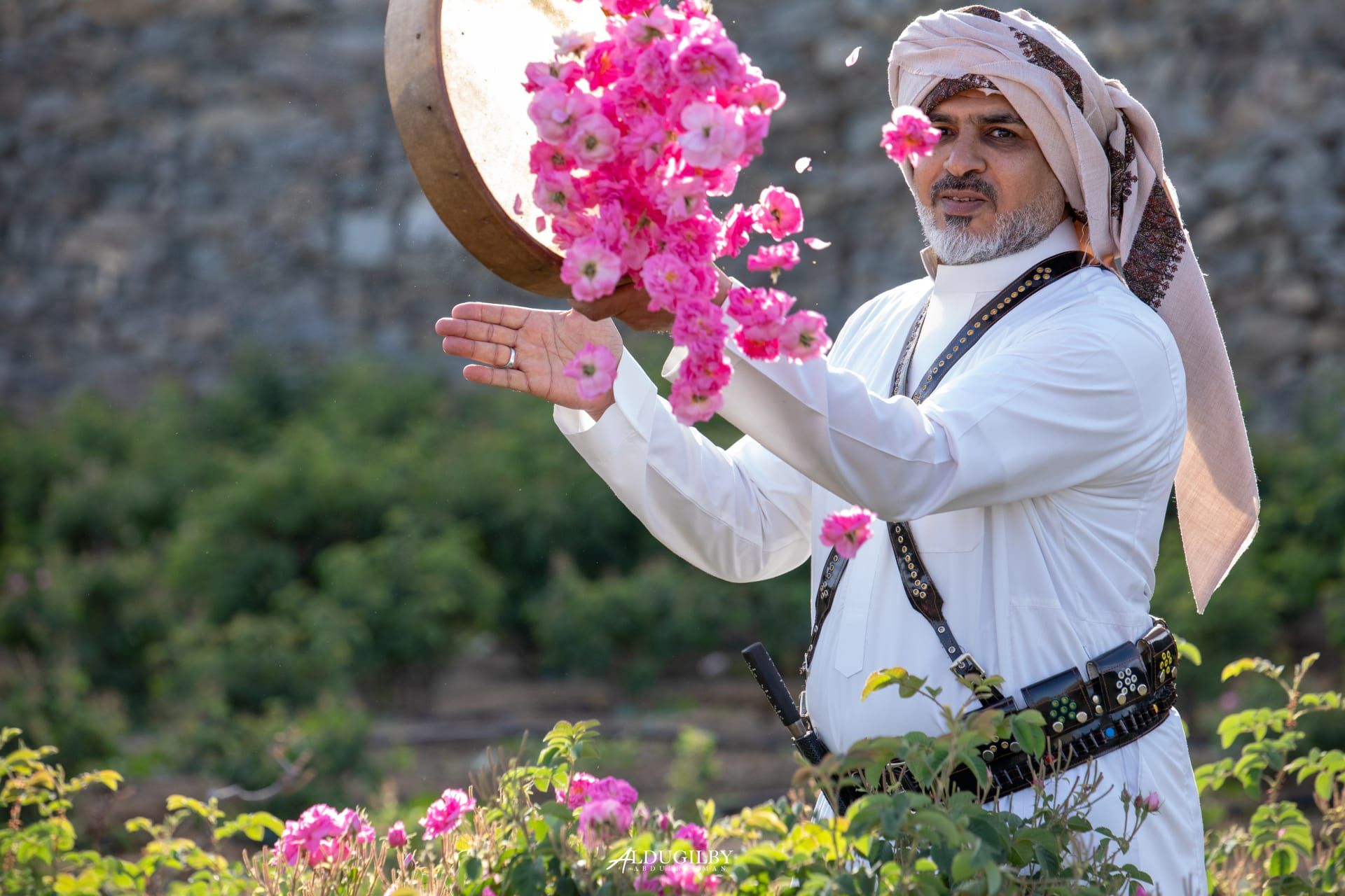 وسط أكوام الورود.. سعودي يوثق مشاهد مرحة من موسم الورد الطائفي