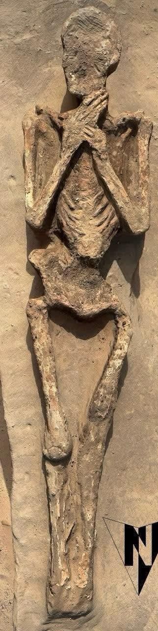 مصر