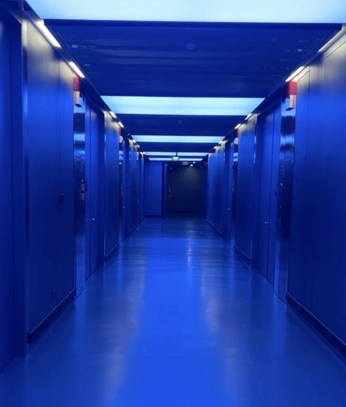 سبائك ذهب وأعمال فنية وهيكل ديناصور.. داخل الخزنة فائقة السرّية لفاحشي الثراء في آسيا