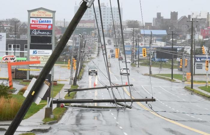 Shortage of wooden hydro poles threatens reliability of grid, say electricity producers
