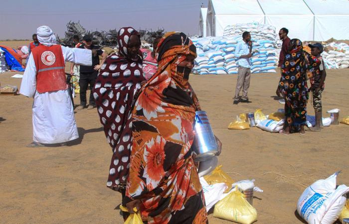 لدعم السودان ودول مجاورة.. الإمارات تخصص 15 مليون دولار لمفوضية اللاجئين