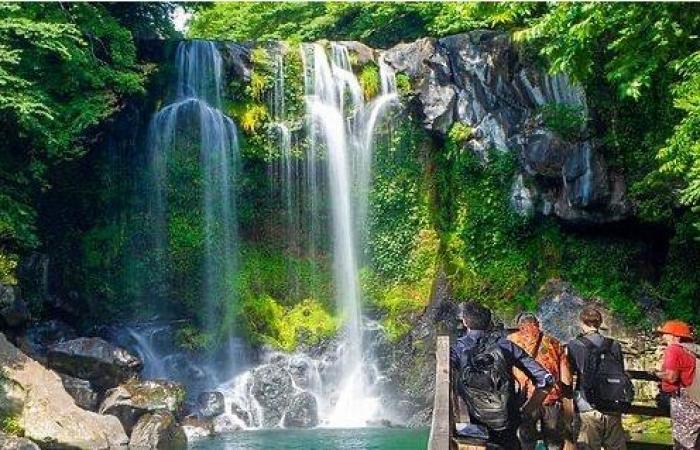 جزيرة جيجو الكورية ترحب بعشاق الطبيعة من قطر