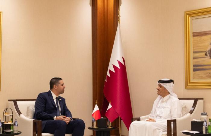  رئيس مجلس الوزراء وزير الخارجية يستقبل نائب رئيس الوزراء وزير الخارجية والسياحة في جمهورية مالطا