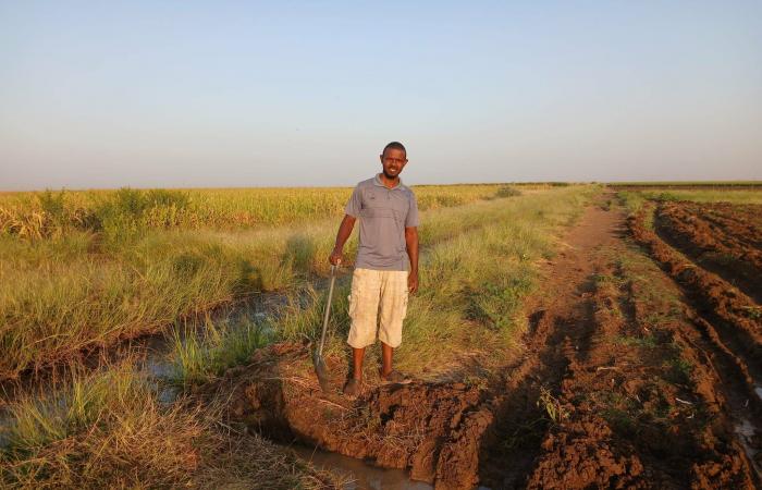 السودان:
      ضربة
      لـ«الدعم
      السريع»
      توقع
      عشرات
      القتلى
      في
      جنوب
      كردفان