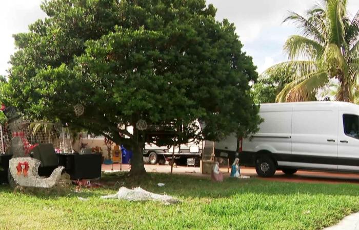 أمام أعين مالكيها.. شاهد محاولة سرقة زينة عيد الميلاد وردة فعل العائلة