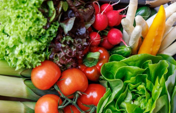 هوايات
      تنشط
      عقلك
      وتحافظ
      على
      شبابه...
      تعرف
      عليها