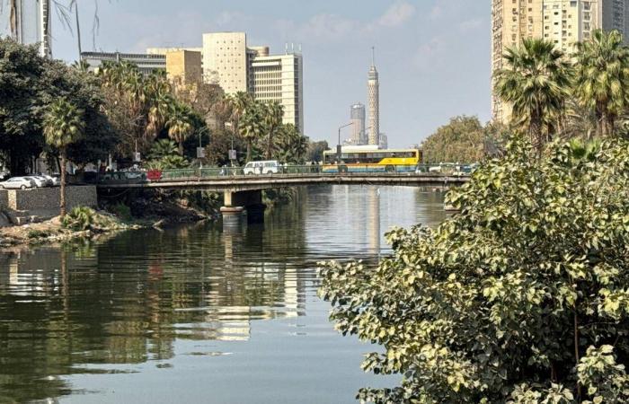 نفي
      الحكومة
      المصرية
      وجود
      «ماربورغ»
      لا
      يهدئ
      مخاوف
      انتشار
      الفيروسات