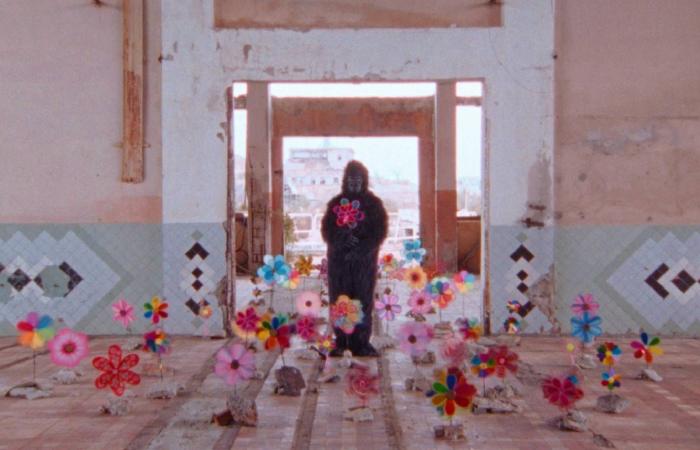 «البحر
      الأحمر»
      يكرِّم
      أسطورة
      بوليوود
      ريخا