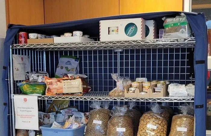 Empty
      Stocking
      Fund:
      Pets
      deserve
      a
      happy
      holiday,
      too