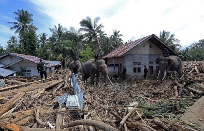 وفاة
      نحو
      ألف
      شخص
      ونزوح
      مليون
      ساكن
      في
      فيضانات
      إندونيسيا