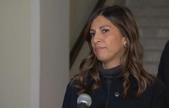 Immunity
      for
      Alberta
      attorney
      general
      necessary
      to
      ward
      off
      ‘political
      activism,’
      attorney
      general
      says