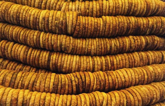 التين
      أم
      التمر...
      أيهما
      أفضل
      لصحة
      الأمعاء
      وضبط
      مستويات
      السكر؟