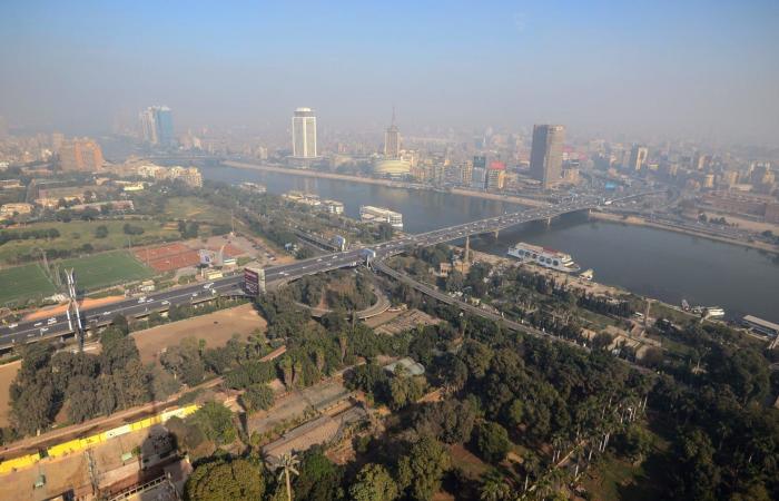 من هو البروفيسور المصري عبّاس الجمل الفائز بجائزة "نوابغ العرب 2025"؟