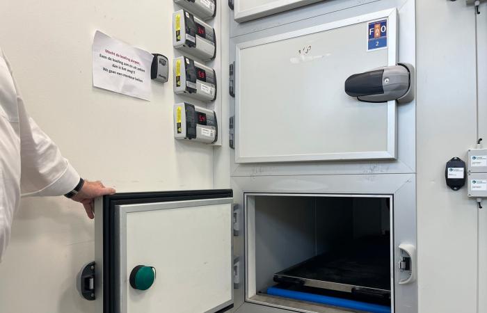 عندما يفارق راكب الحياة أثناء الرحلة الجوية.. هكذا تتصرف الطواقم