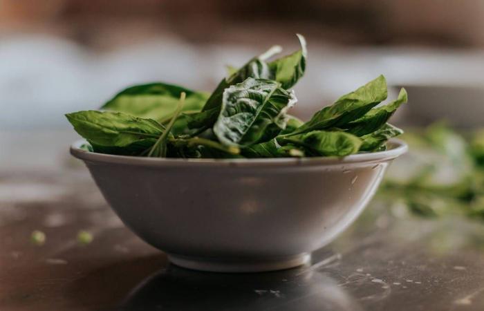 4
      أطعمة
      تساعد
      على
      تعزيز
      قوة
      الذاكرة