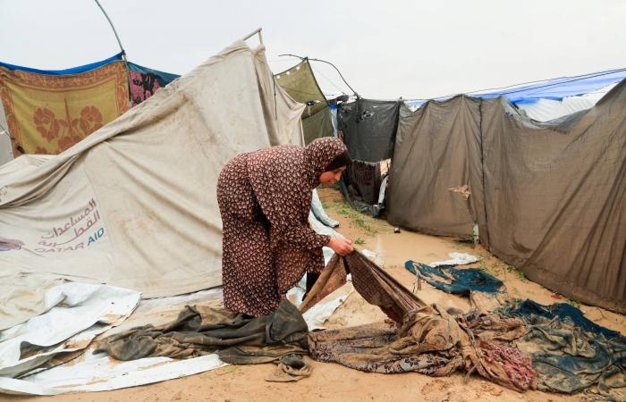 وفاة
      11
      شخصاً
      وانهيار
      منازل
      جراء
      المنخفض
      الجوي
      في
      قطاع
      غزة