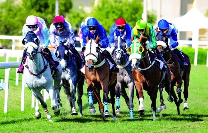 اليوم سباق الخيل على جائزتي اليوم الوطني والمؤسس