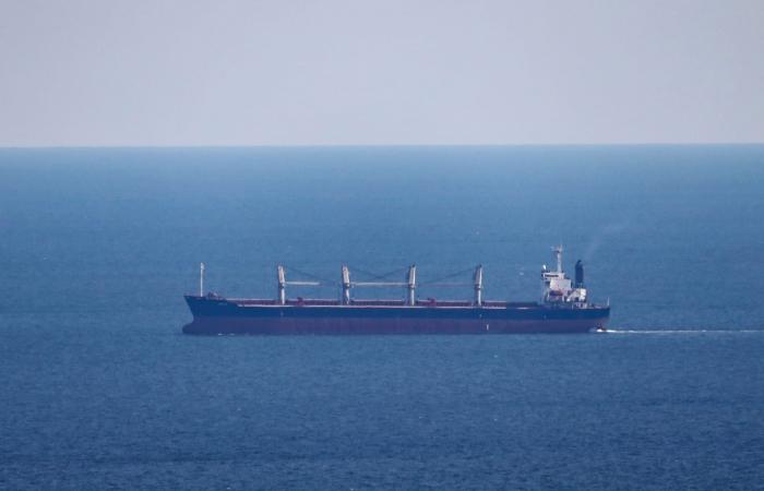 بيوم لقاء بوتين وأردوغان.. أول تعليق من تركيا على هجوم روسي استهدف سفينة تجارية تابعة لها بميناء أوكراني