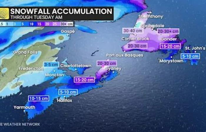 Weather
      bomb
      threatens
      blizzard
      conditions
      across
      parts
      of
      Atlantic
      Canada