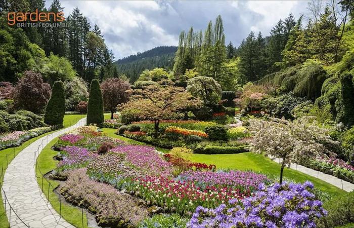 Brian
      Minter:
      Here
      are
      some
      gifts
      the
      gardener
      in
      your
      life
      will
      truly
      appreciate