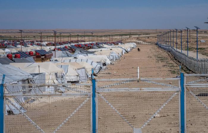 تقارير:
      عملية
      أمنية
      سورية
      ضد
      خلايا
      «داعش»
      رداً
      على
      هجوم
      تدمر