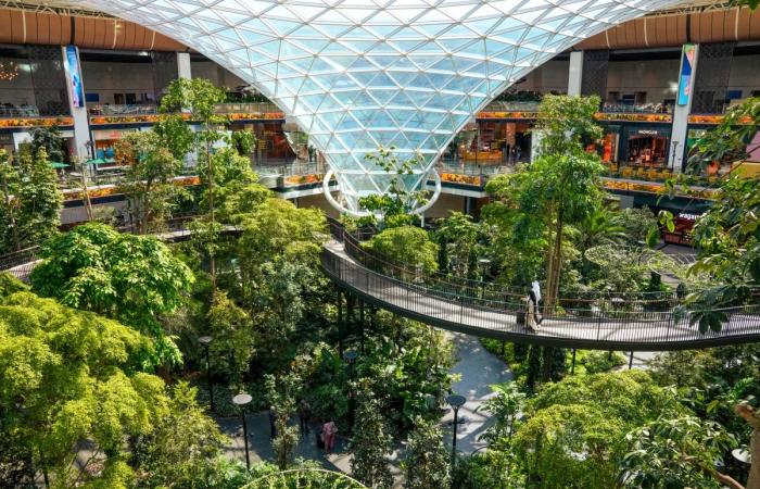 مطار حمد سجل حافل في الابتكار والكفاءة التشغيلية