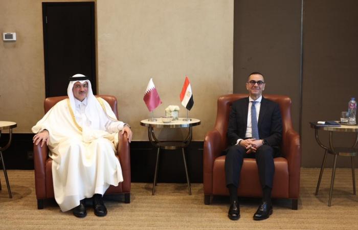 انعقاد المنتدى الاستثماري المصري القطري بالقاهرة