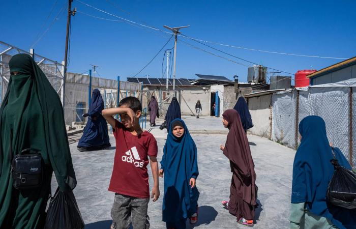 مخيمات
      تنظيم
      «داعش»
      تشكّل
      مشكلة
      خطيرة
      لقادة
      سوريا