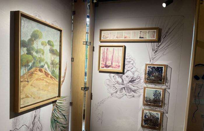 اكتشاف
      مجموعة
      فريدة
      من
      كواكب
      «المشتري
      الحارّة»