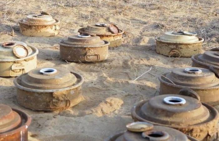 ولي
      العهد
      السعودي
      يلتقي
      البرهان
      ويستعرضان
      مستجدات
      الأحداث
      في
      السودان