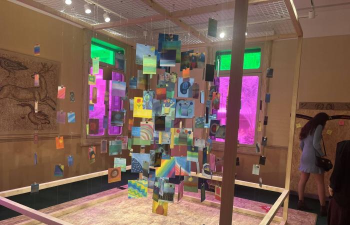 ميناء
      العين
      السخنة
      المصري
      يدخل
      موسوعة
      «غينيس»