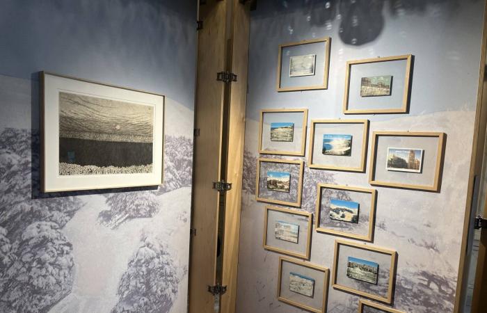 ميناء
      العين
      السخنة
      المصري
      يدخل
      موسوعة
      «غينيس»