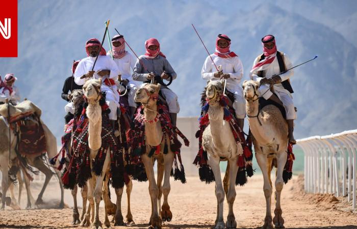 متابعة: السعودية.. نادي الإبل يفرض غرامة 5 ملايين ريال على مشارك ويوضح السبب