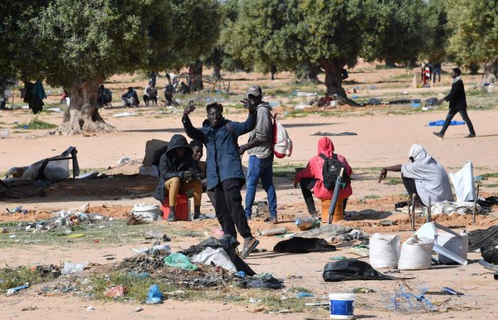 تونس:
      «غضب
      حقوقي»
      بسبب
      استمرار
      حبس
      مدافعين
      عن
      المهاجرين