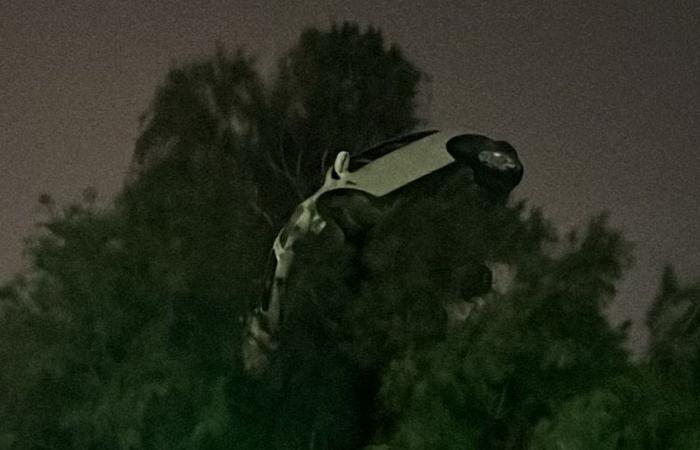 سيارة فوق الشجرة.. مشهد تمثيلي يتحول لأغرب حادث مروري في الكويت (فيديو)