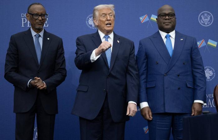 مصر
      تدعم
      «سلام
      الكونغو»
      وتبدي
      استعدادها
      لمساندة
      مسار
      التسوية