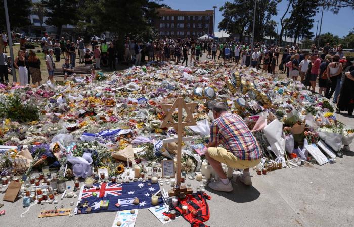 ماتشادو
      بخير
      رغم
      إصابتها
      في
      الظهر