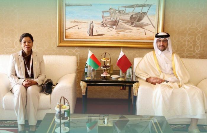  وزير العدل ووزير الدولة لشؤون مجلس الوزراء يجتمع مع وزيرة العدل في مدغشقر