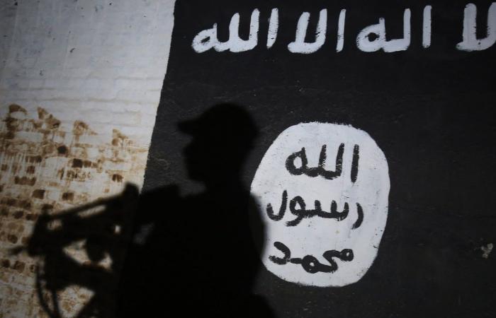 بعد تعهد ترامب بالانتقام لهجوم سوريا.. الجيش الأمريكي ينشر سجل عملياته ضد التنظيم بـ6 أشهر