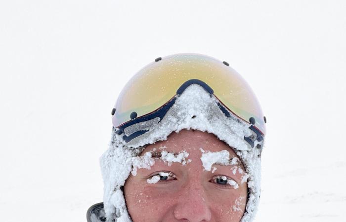 صور مؤثرة توثّق حيوانات تكافح للعيش بالبرد القارس في النرويج