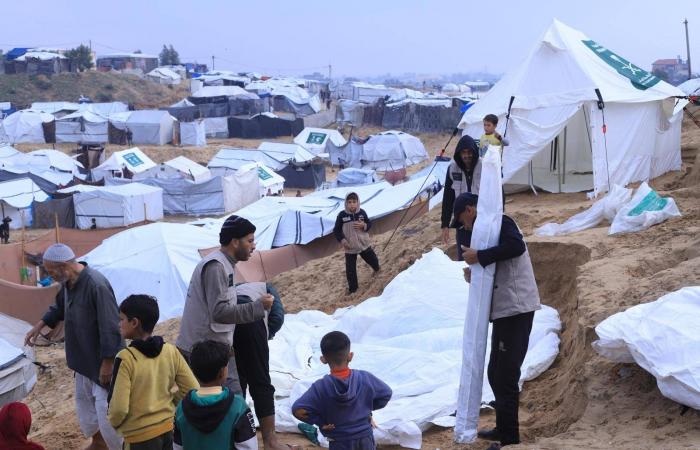 «مركز
      الملك
      سلمان»
      ينشئ
      مجموعة
      مخيّمات
      للنازحين
      من
      قطاع
      غزة