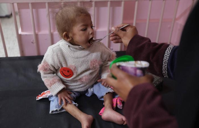 «الصحة
      العالمية»:
      1092
      مريضاً
      توفوا
      بانتظار
      الإجلاء
      من
      غزة
      منذ
      منتصف
      2024