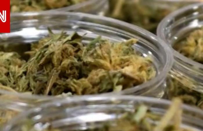 متابعة: ترامب يتخذ خطوات لإعادة تصنيف الماريغوانا