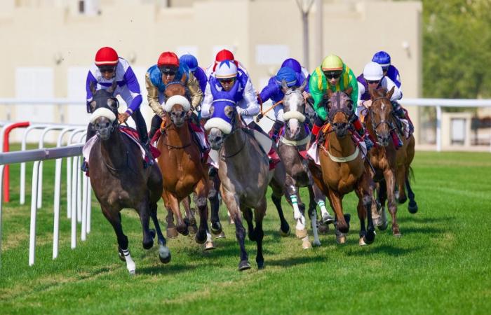 نادي قطر للسباق والفروسية يعلن تنظيمه سباق أوكس قطر بعد غد الأحد.. وداربي قطر الدولي غدا السبت