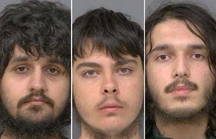 Michael
      Higgins:
      Toronto
      terror
      charges
      reflect
      a
      country
      that
      let
      the
      evil
      of
      antisemitism
      go
      unchecked