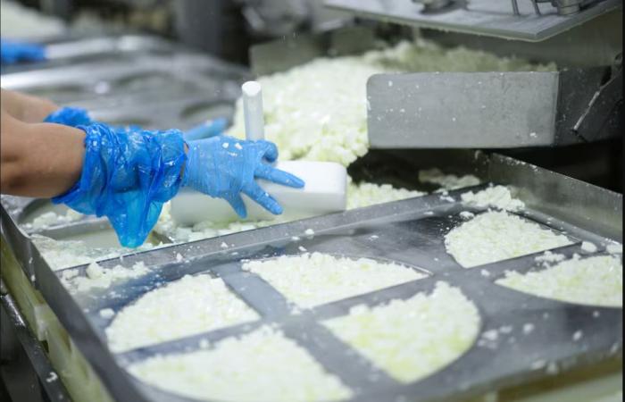 الجبن
      القريش
      أم
      الحليب:
      أيهما
      أفضل
      لصحة
      العظام؟